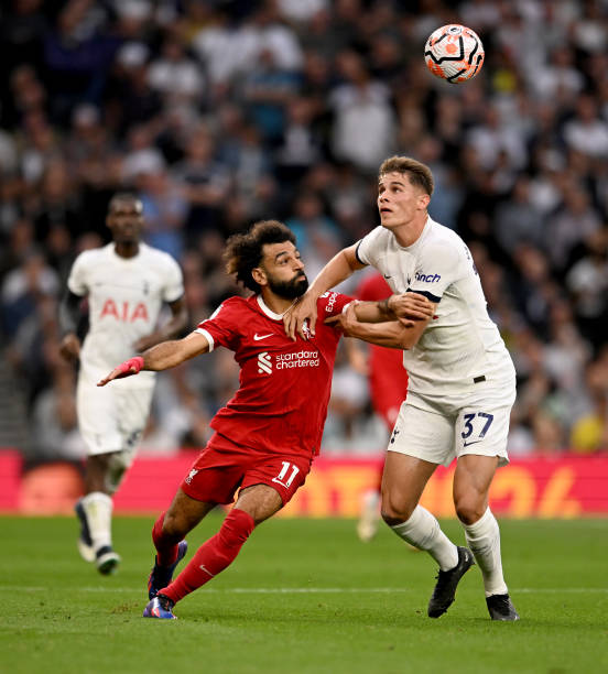 夺冠拼图 夺冠拼图