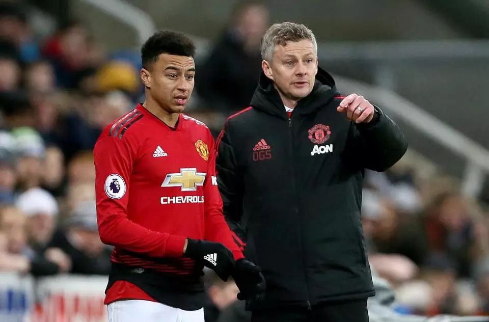 展示视频和 展示视频和